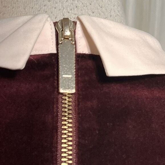 Ted Baker London Cheryl Velvet Collared Embellished Dress Size 2 - Picture 7 of 7